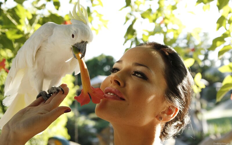 woman feeding bird flower