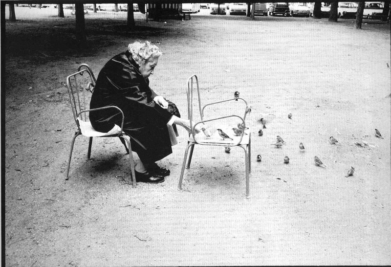 Woman feeding birds in park