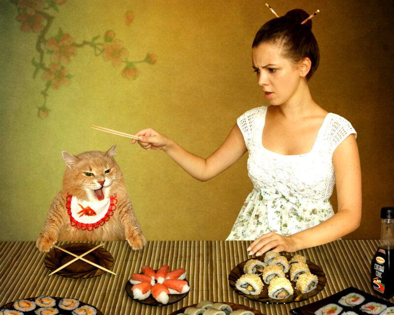 Woman Feeding Cat Sushi