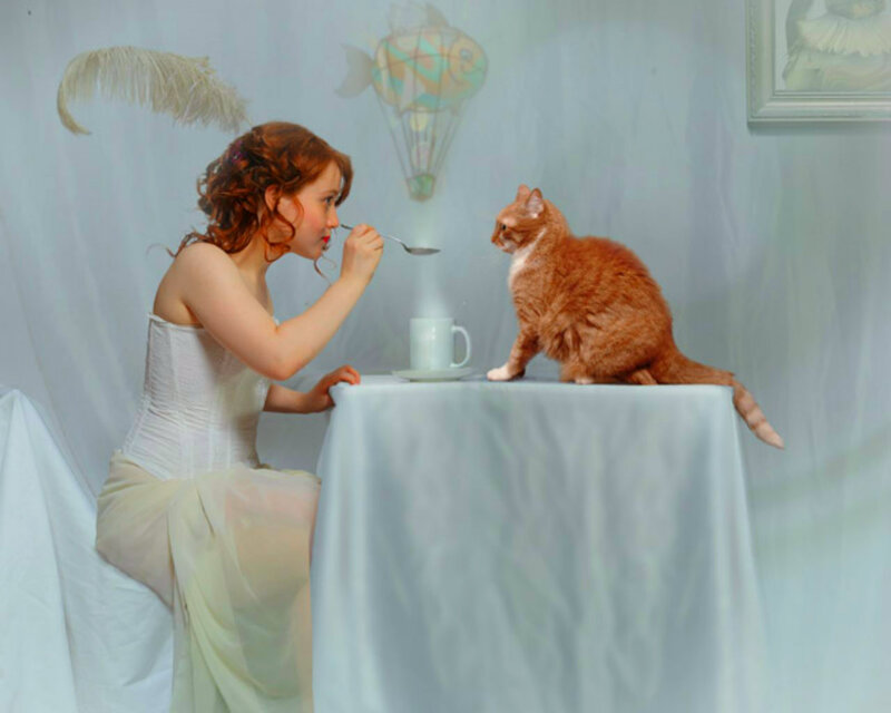 Woman Feeding Cat — White