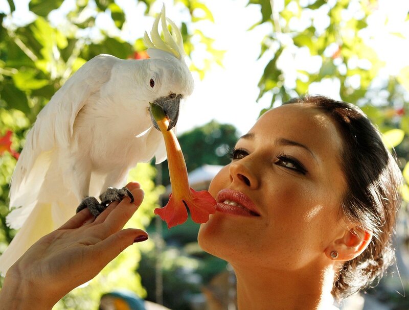 woman feeding cockatoo flower