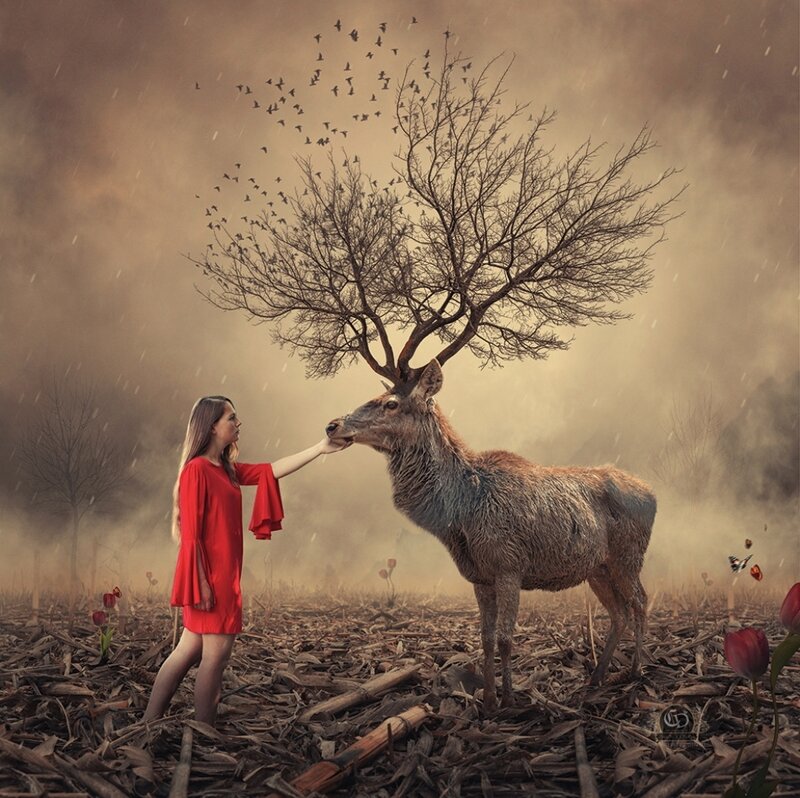 Woman Feeding Deer — Red