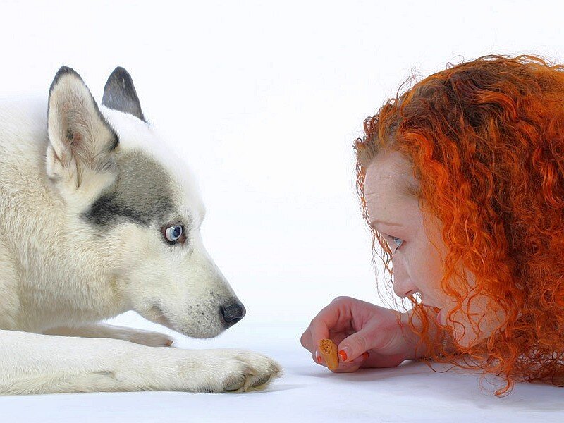 woman feeding dog treat