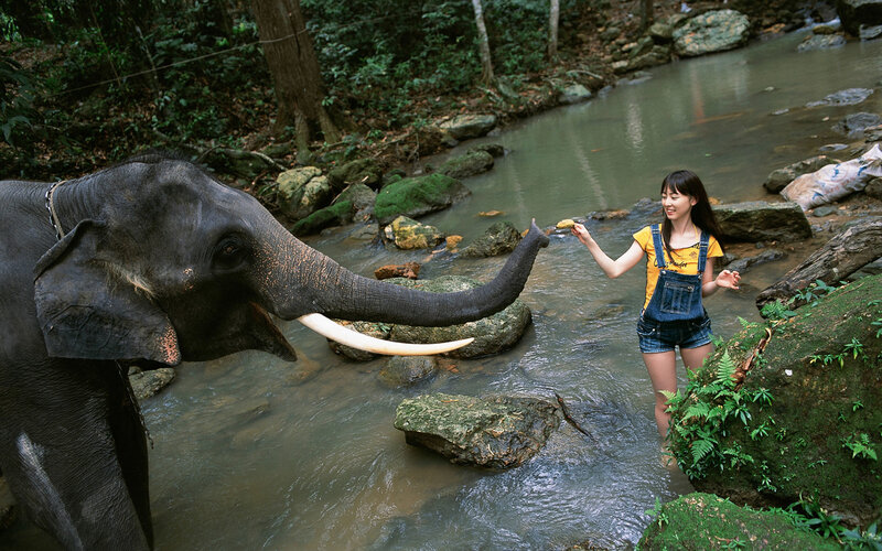 Woman Feeding Elephant
