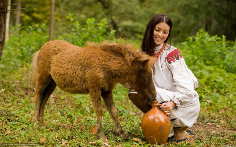 Woman feeding foal in forest