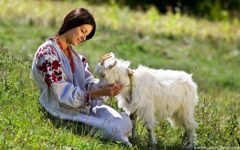 Woman Feeding Goat — Green