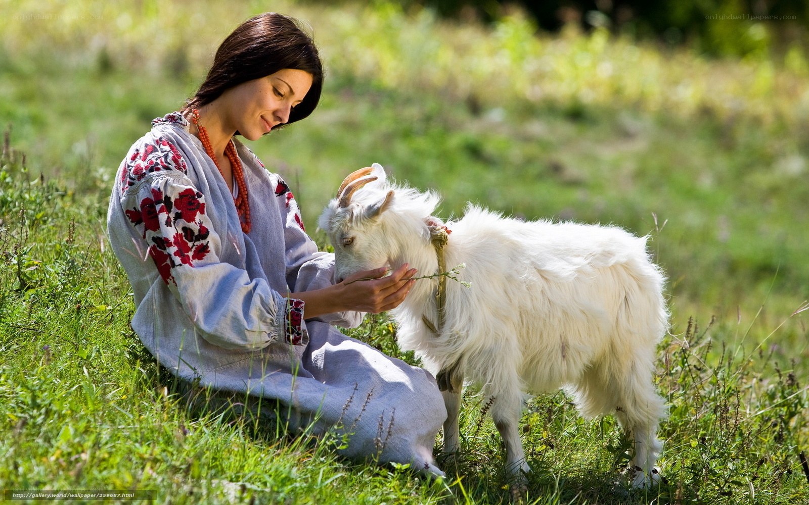 Woman feeding goat in field