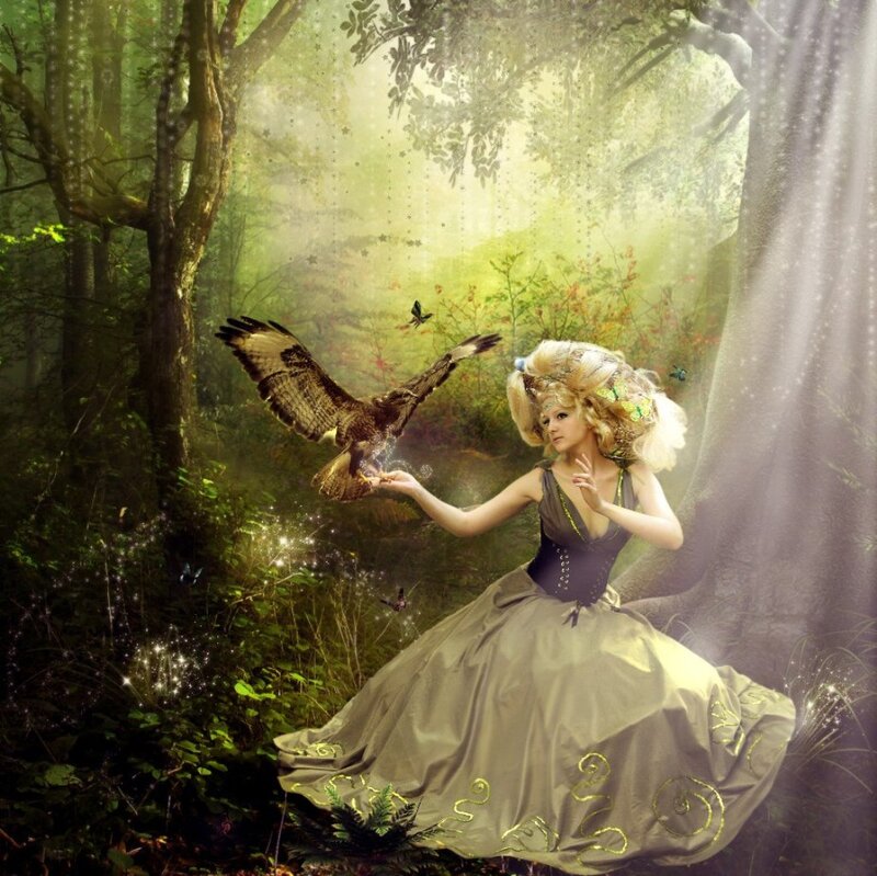 Woman Feeding Hawk