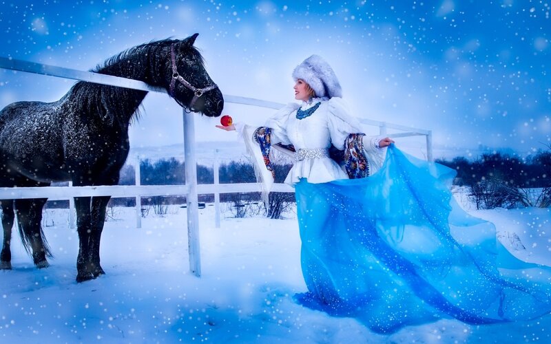 Woman Feeding Horse — Blue