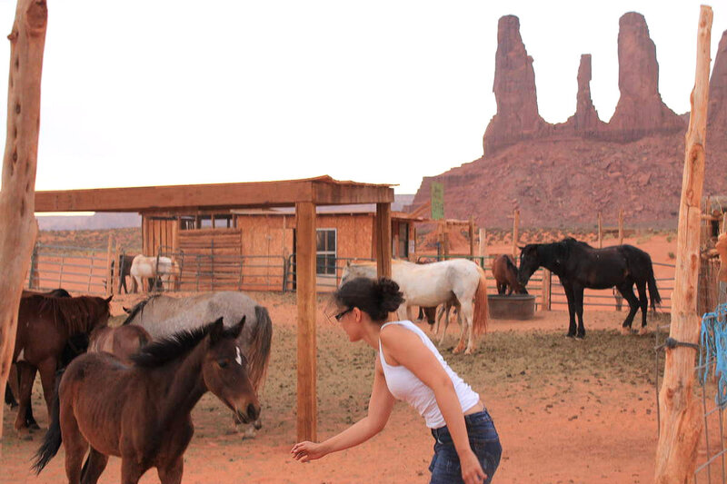 Woman Feeding Horse — Brown, Calm, Afternoon