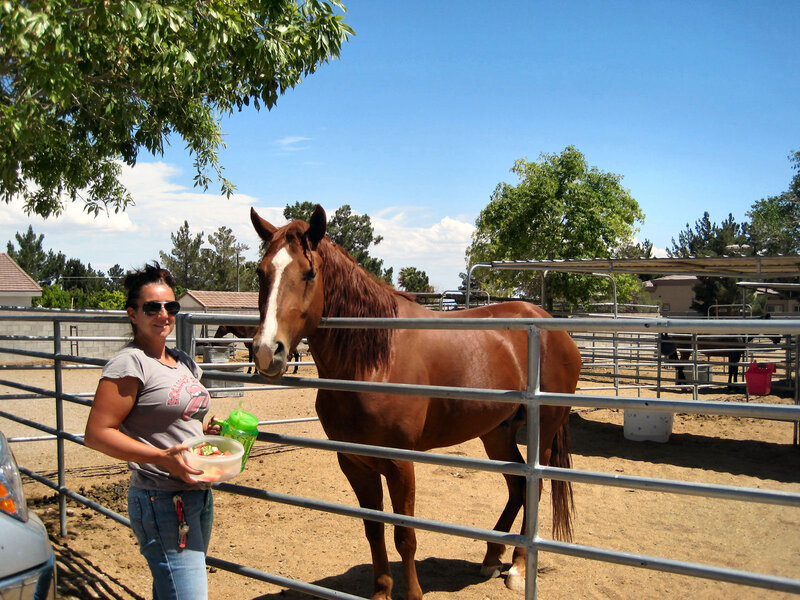 Woman Feeding Horse — Brown, Calm