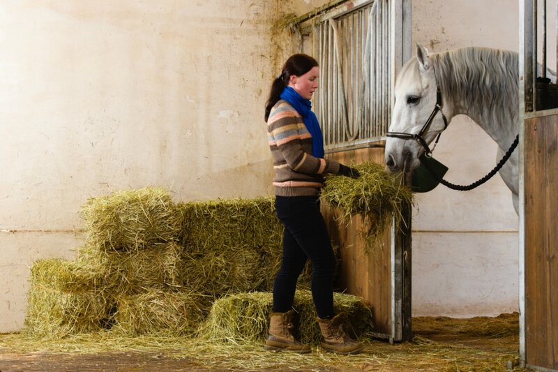 Woman Feeding Horse — Brown