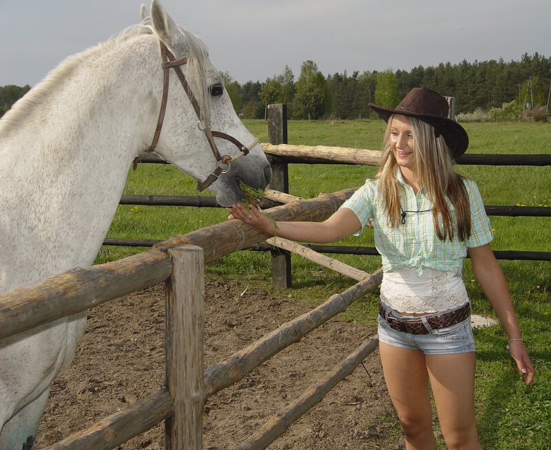 Woman Feeding Horse — Green, Calm, Afternoon