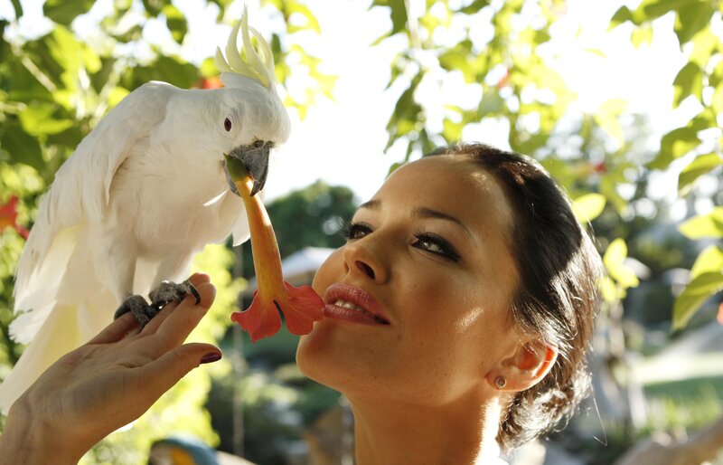 Woman feeding parrot flower