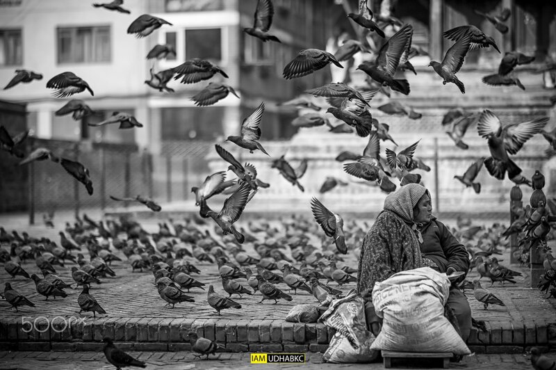 Woman Feeding Pigeons — Black
