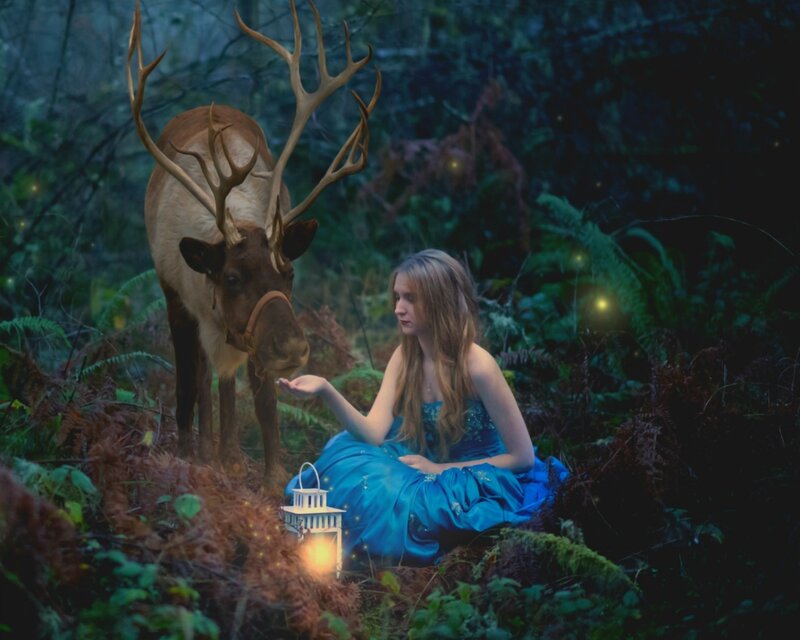Woman Feeding Reindeer — Blue