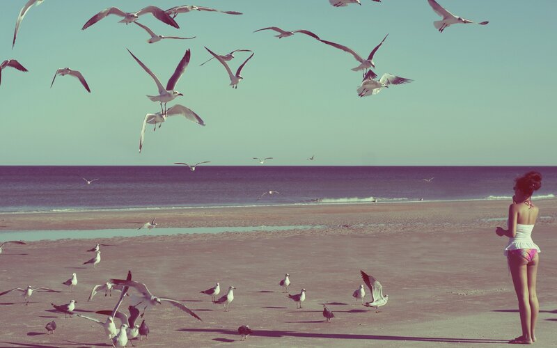 Woman feeding seagulls on beach