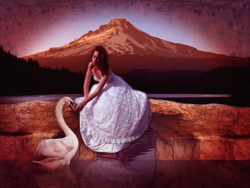 Woman Feeding Swan — White