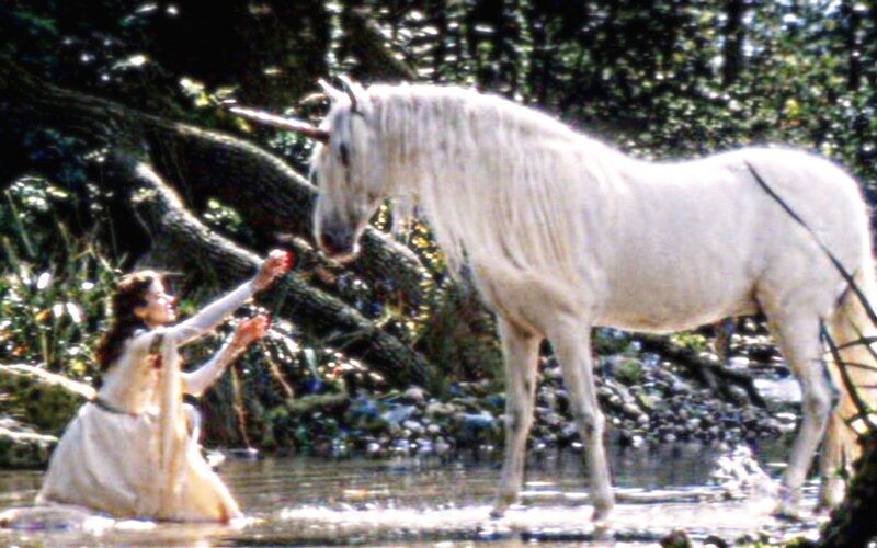 Woman Feeding Unicorn