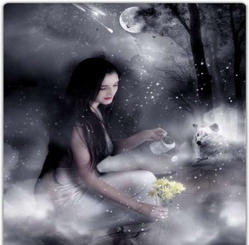 Woman Feeding Wolf