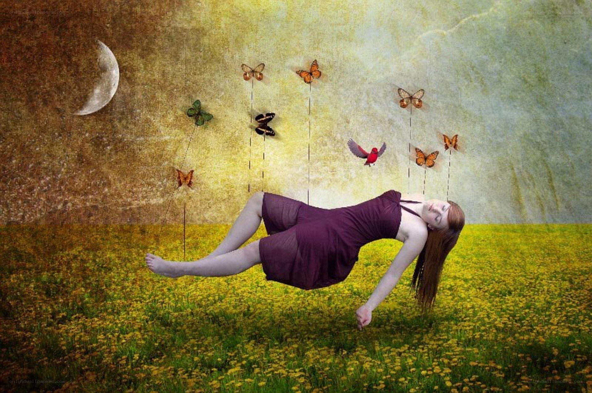 woman floating in a field