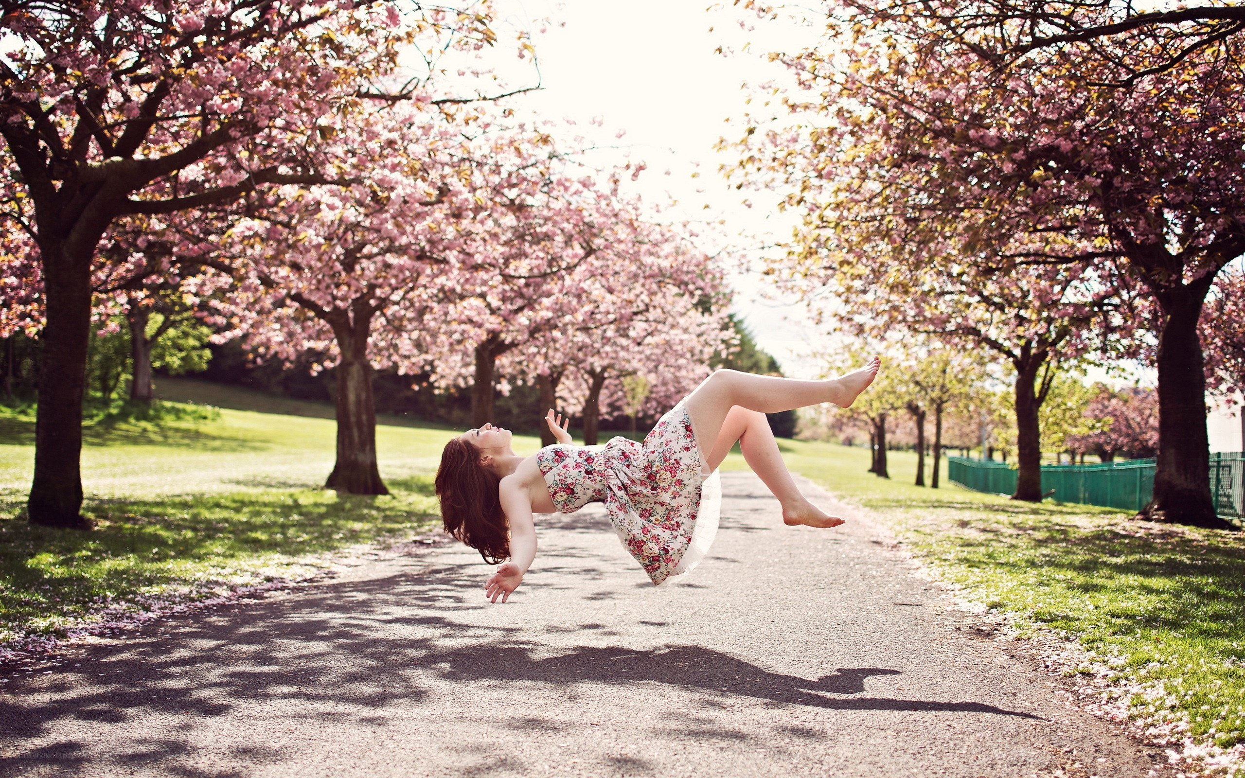 Woman floating under cherry blossoms