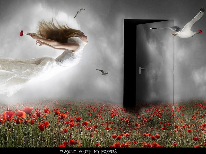 Woman Flying over Field