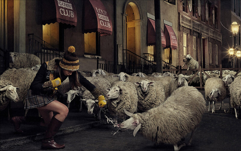 Woman herding sheep in city