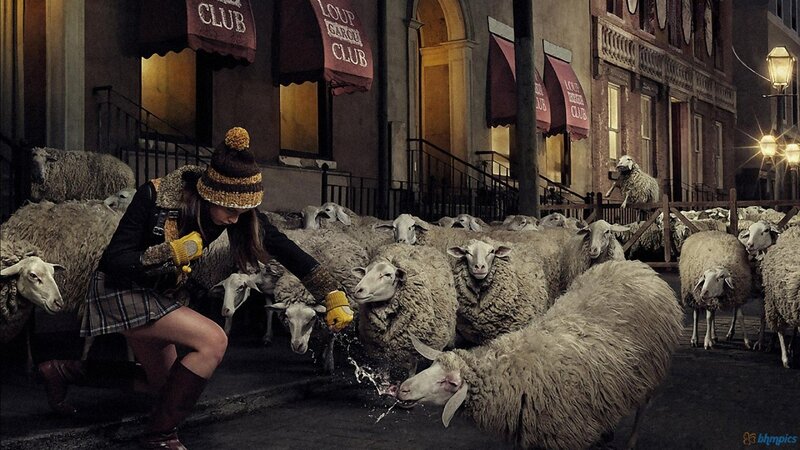 Woman herding sheep in city