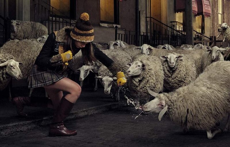 Woman herding sheep in city