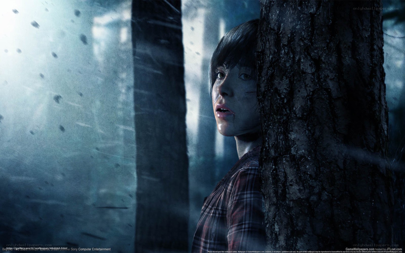 woman hiding in forest