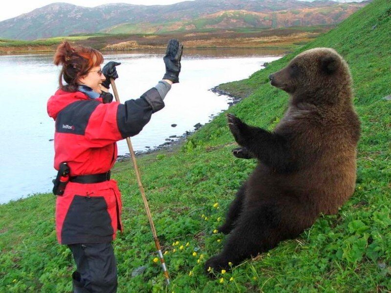 Woman high-fives a bear cub