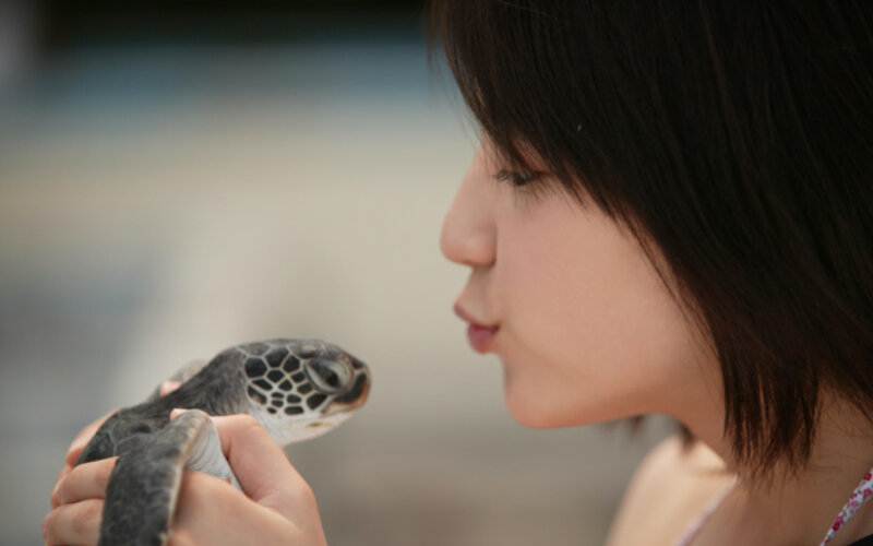 woman holding a baby turtle