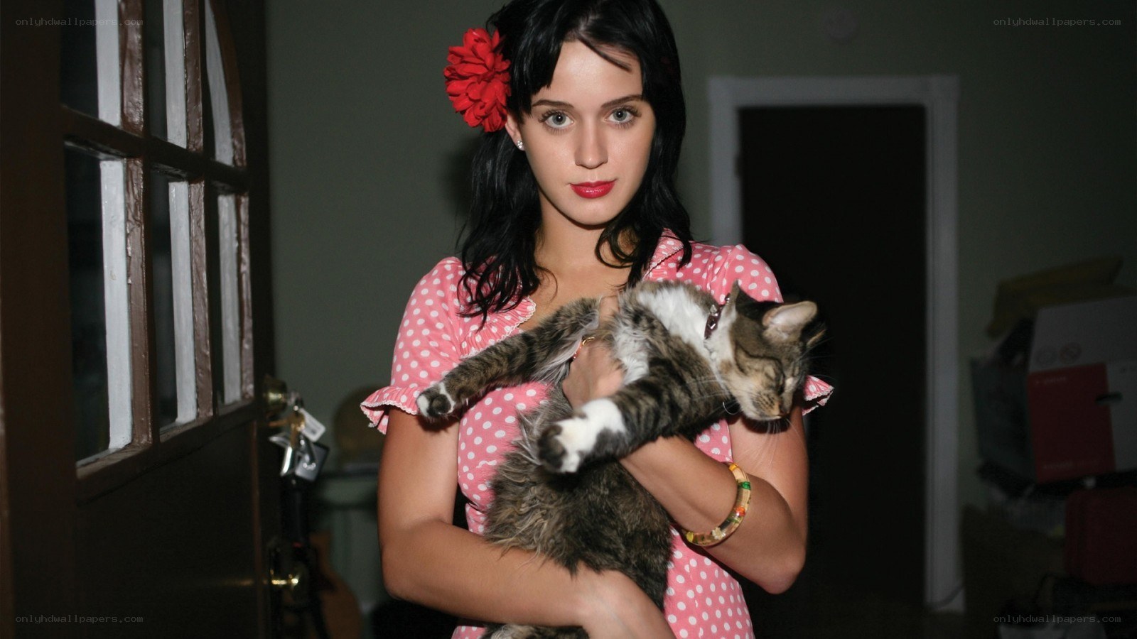 Woman holding a cat