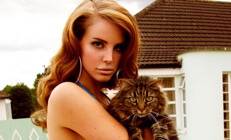 woman holding a cat
