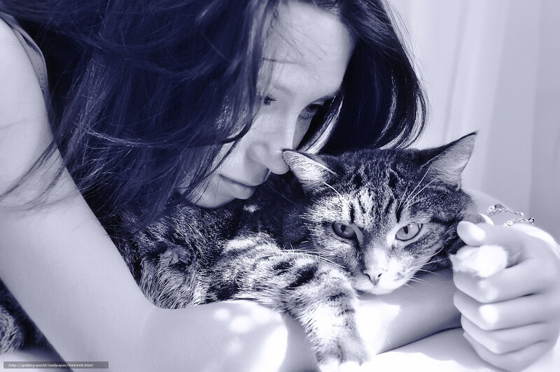 woman holding a cat