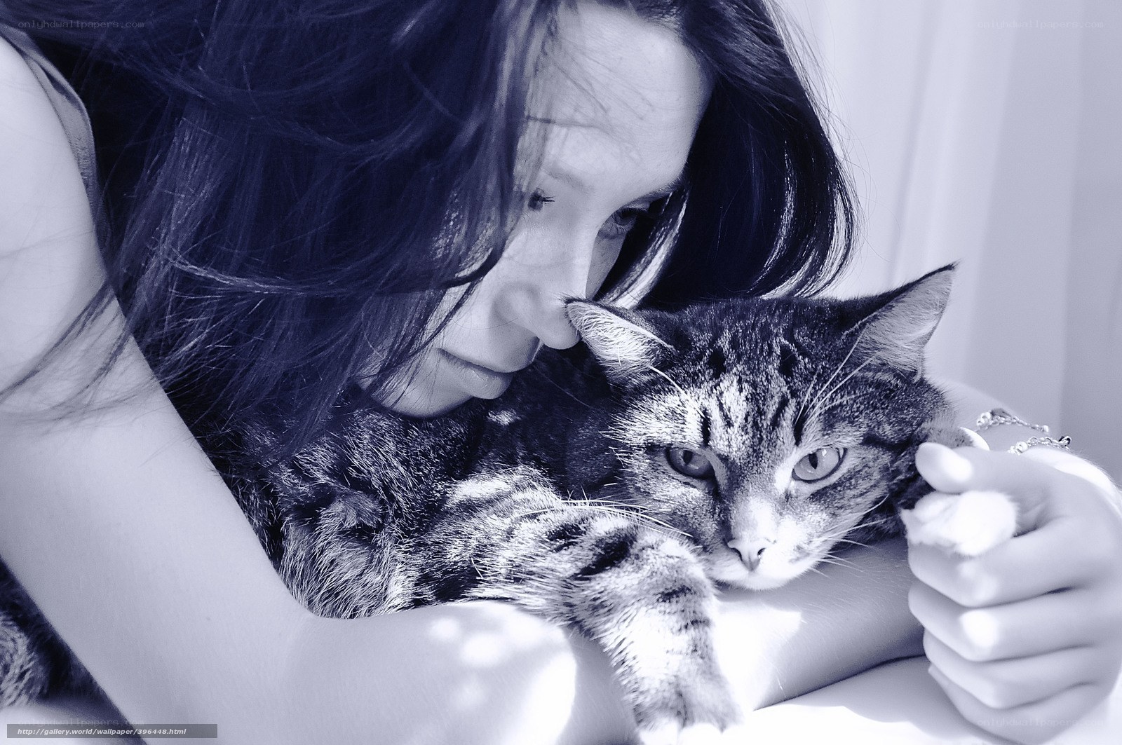 woman holding a cat