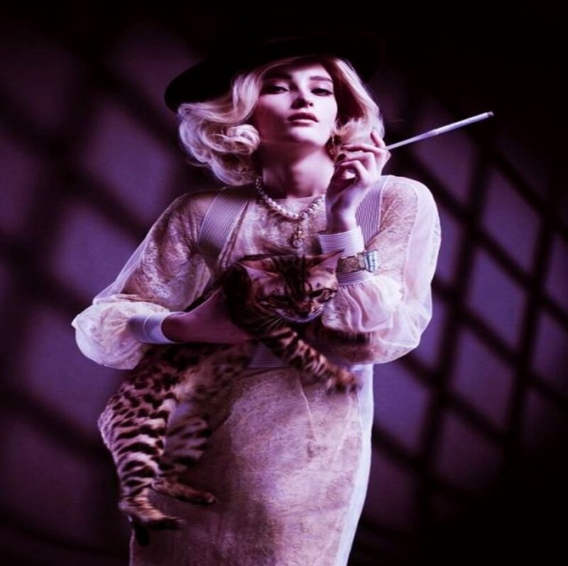Woman Holding a Cat — Purple