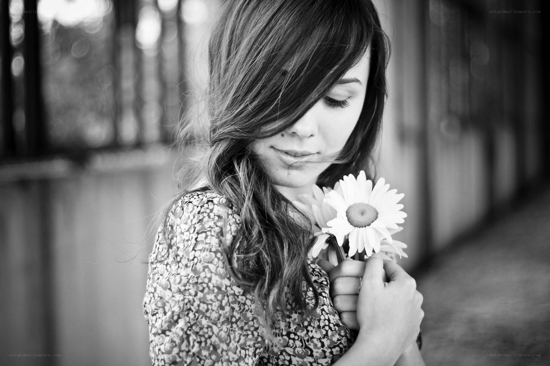 woman holding a daisy