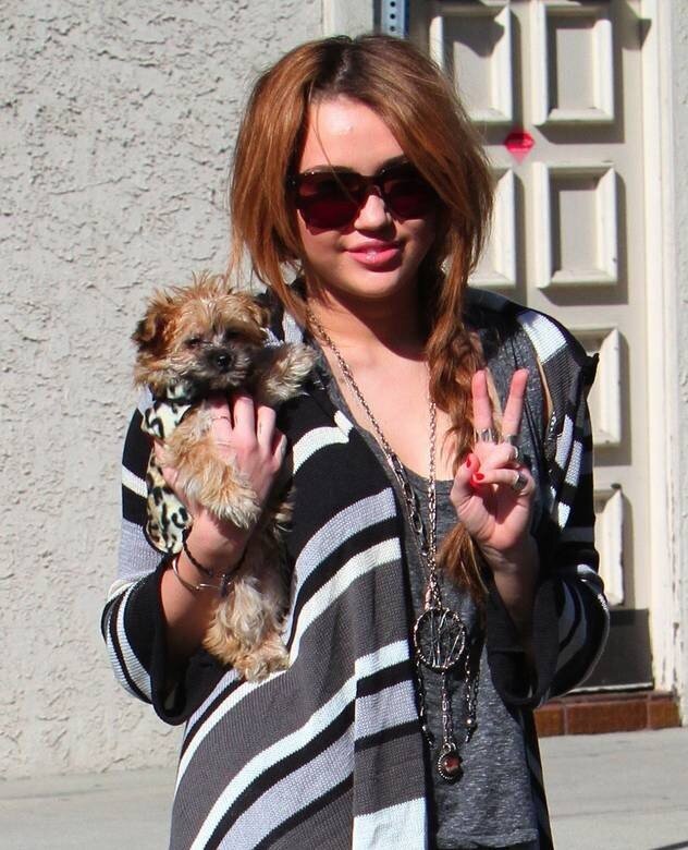 Woman holding a dog