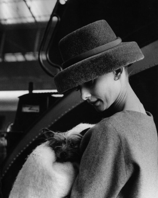 woman holding a dog
