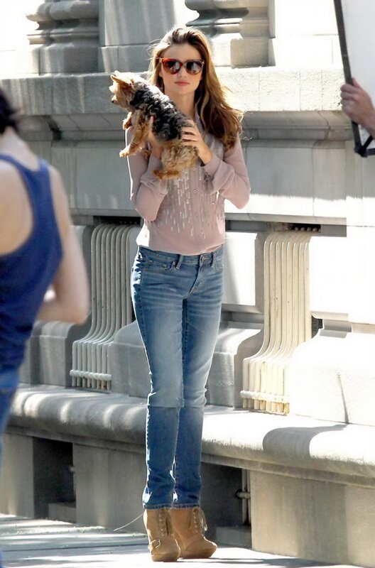 Woman holding a dog outdoors