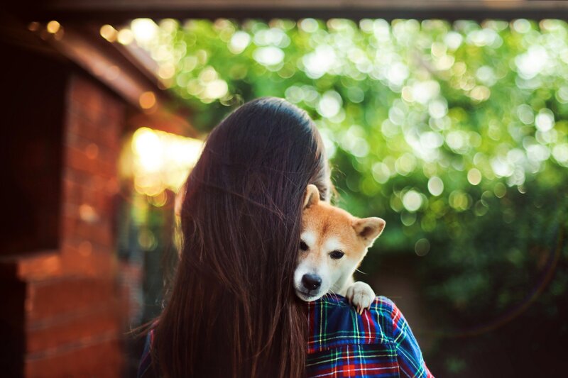woman holding a dog outdoors