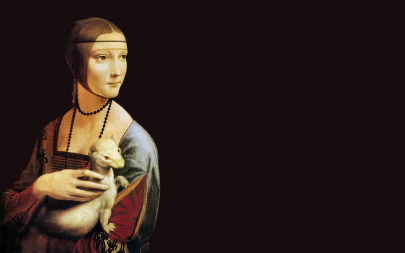 Woman Holding a Ferret — Brown