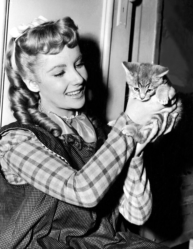 Woman holding a kitten