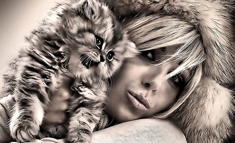 woman holding a kitten