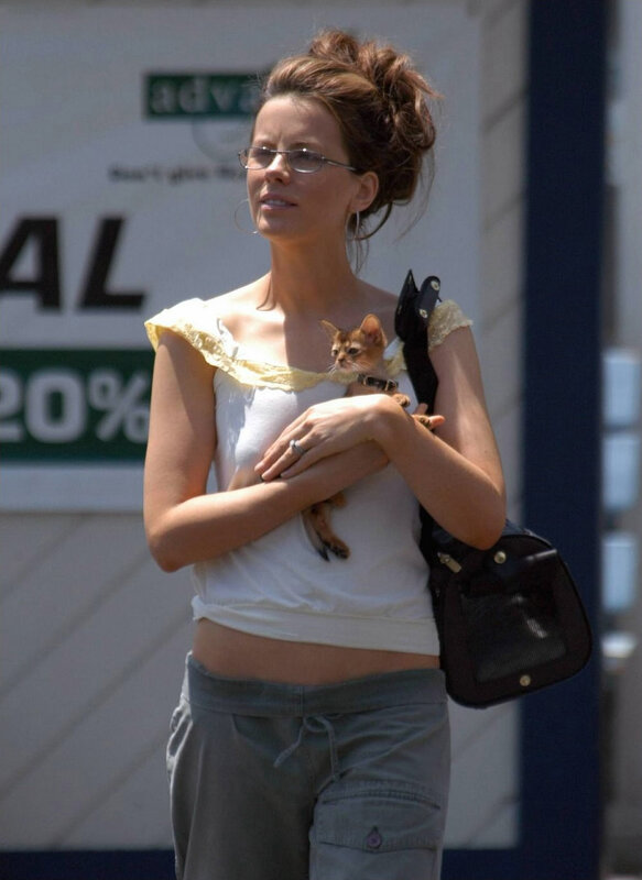 Woman holding a kitten