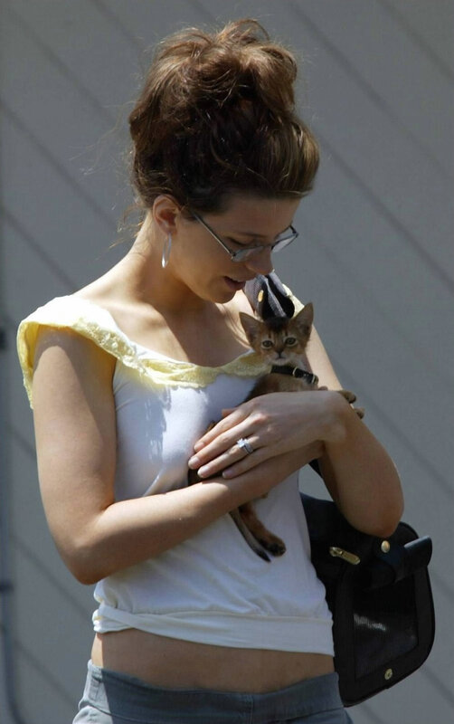 Woman holding a kitten