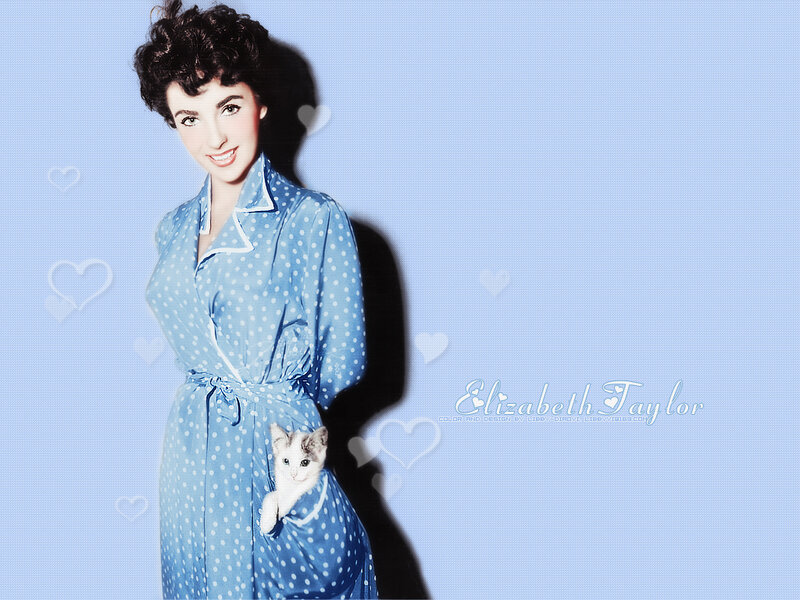 Woman Holding a Kitten — Blue