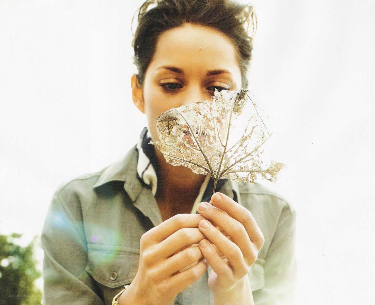 woman holding a leaf